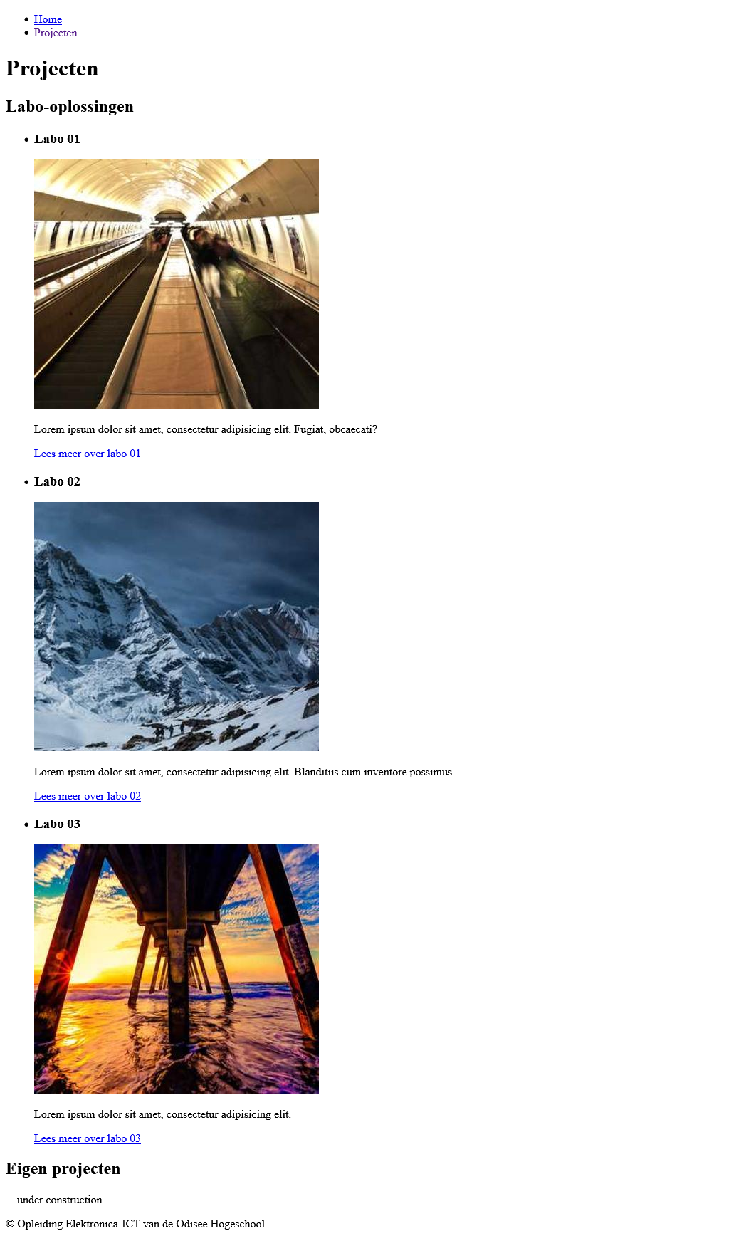 projecten pagina